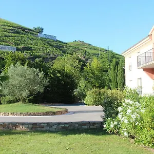 Le Domaine Des Vignes Lyon Sud Vienne Ampuis