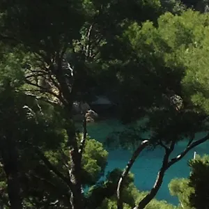 Les Terrasses Des Anthenors Bed & Breakfast